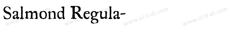 Salmond Regula字体转换